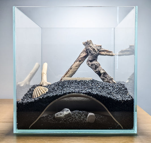 The Complete Guide to Aquarium Caves: Safety, Materials, and Best Choices