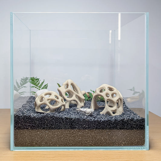 Common Questions About Aquarium Hides & Fish Shelters