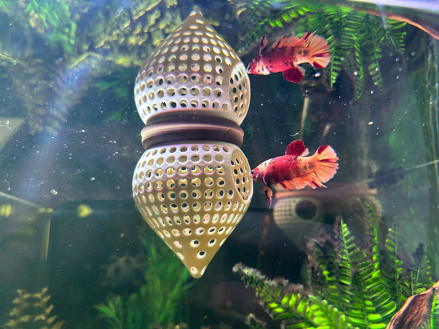 Floating Aquarium Hide Cave | Betta & Shrimp Tank Decor | Dual Shelter & Feeding Ring