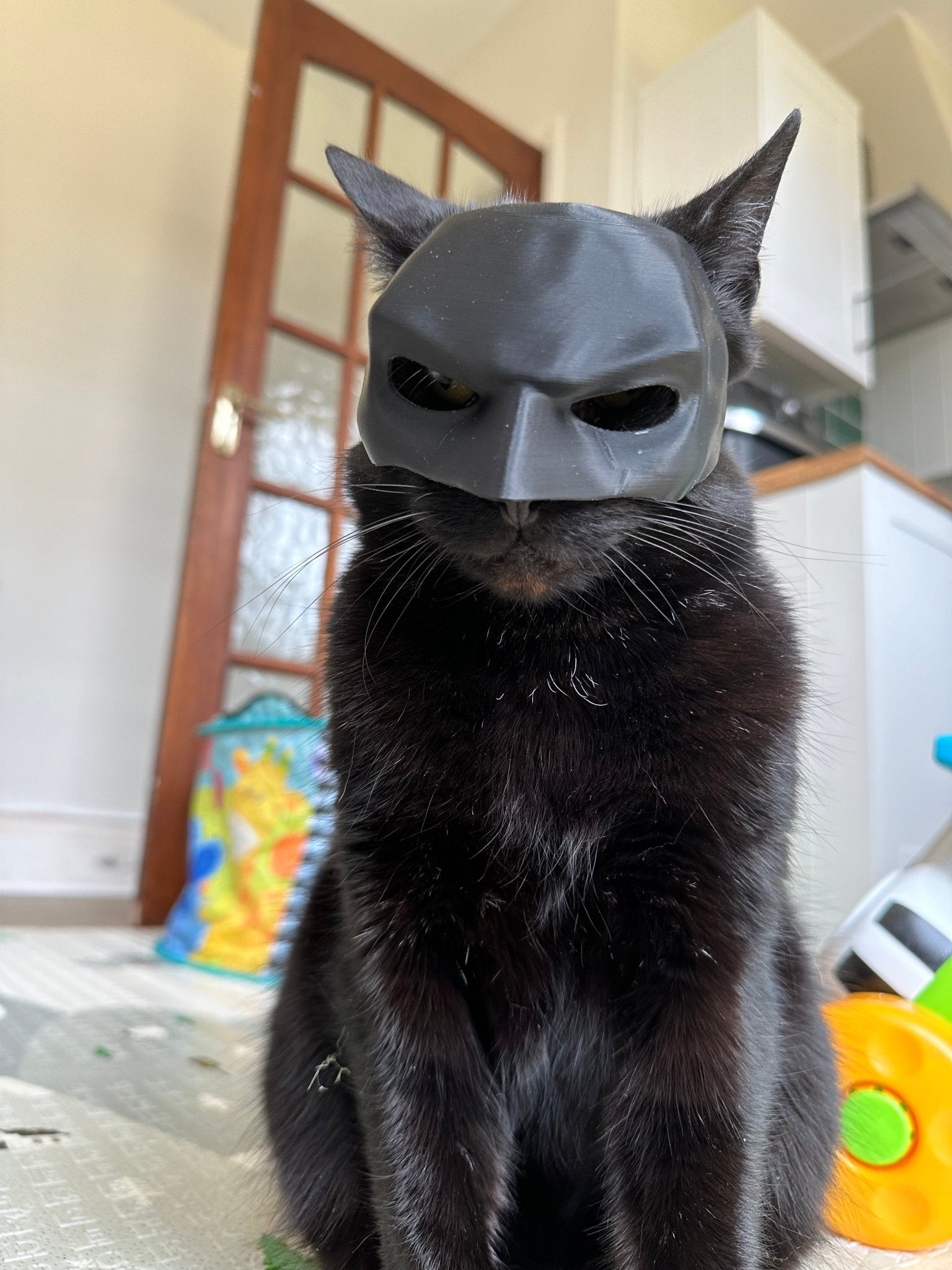 Batman Cat Mask Costume - Become the Dark Cat! A Funny Outfit Accessor –  Blubber Cove