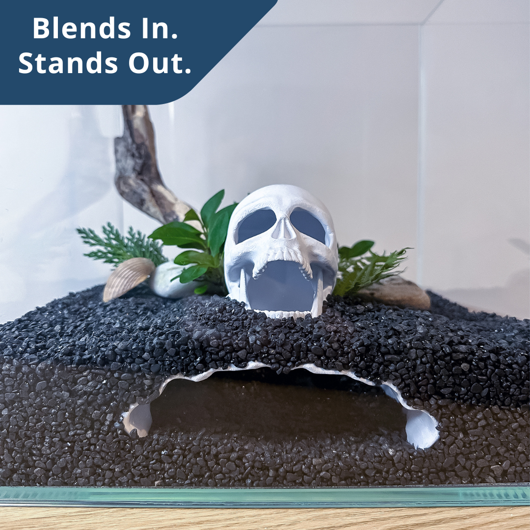 💀 Why Skull Caves Are the Coolest Aquarium Decor Right Now