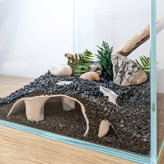 The Best Hiding Spots for Aquarium Fish and Reptiles (And Why They Matter)