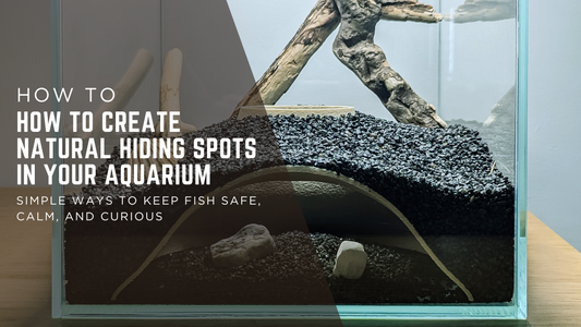 How to Add Natural Depth to Your Tank with an Underground Tunnel Hide