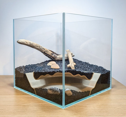 3 Unique Aquarium Accessories That Instantly Upgrade Your Aquascape