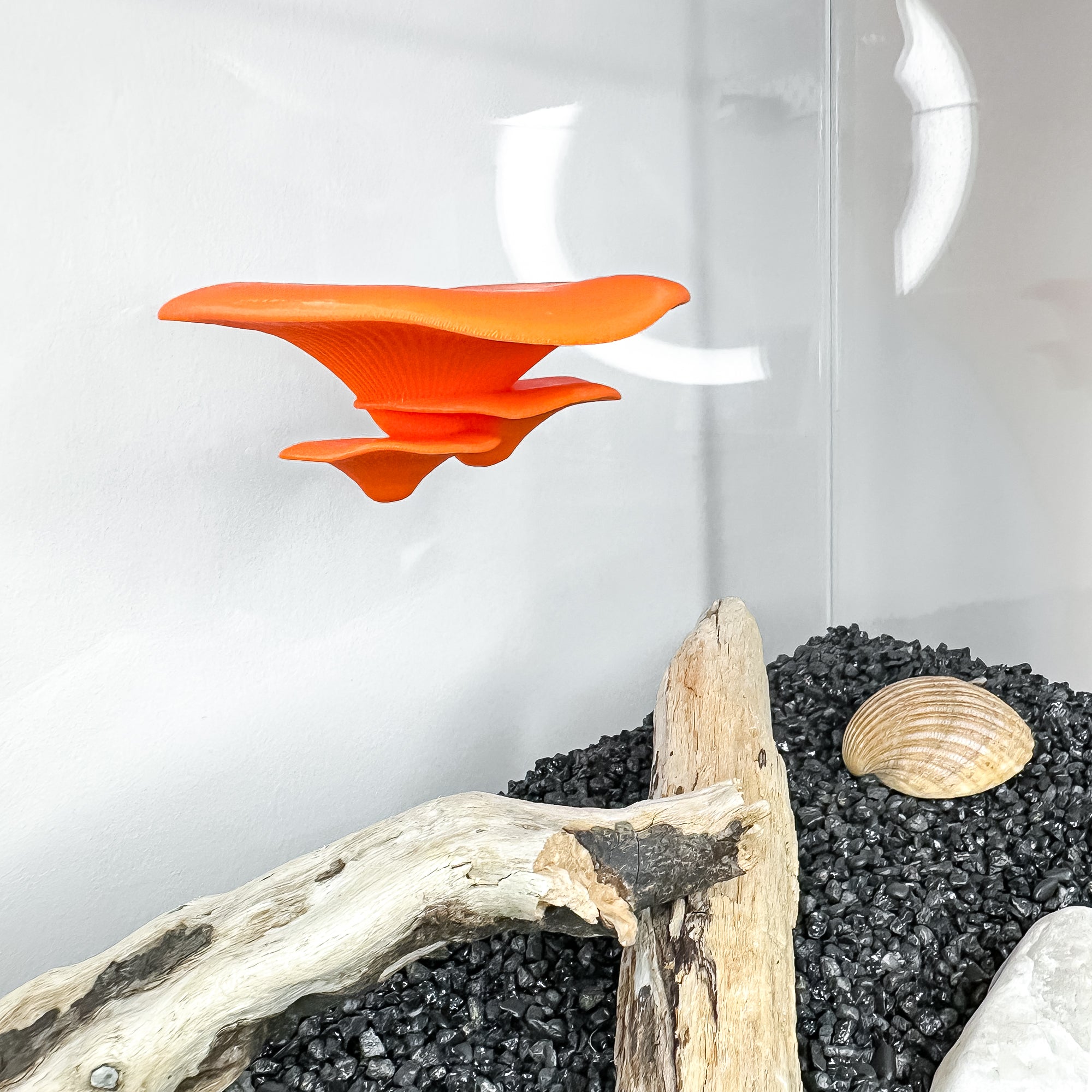 Floating mushroom ledge for bettas, shrimp, and reptiles. Attaches with suction cups. Perfect for aquascaping or amphibian rest spots.