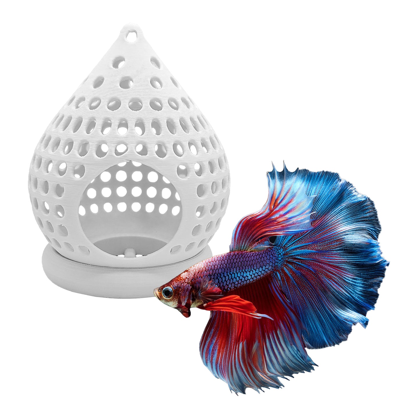 Floating Aquarium Hide Cave | Betta & Shrimp Tank Decor | Dual Shelter & Feeding Ring