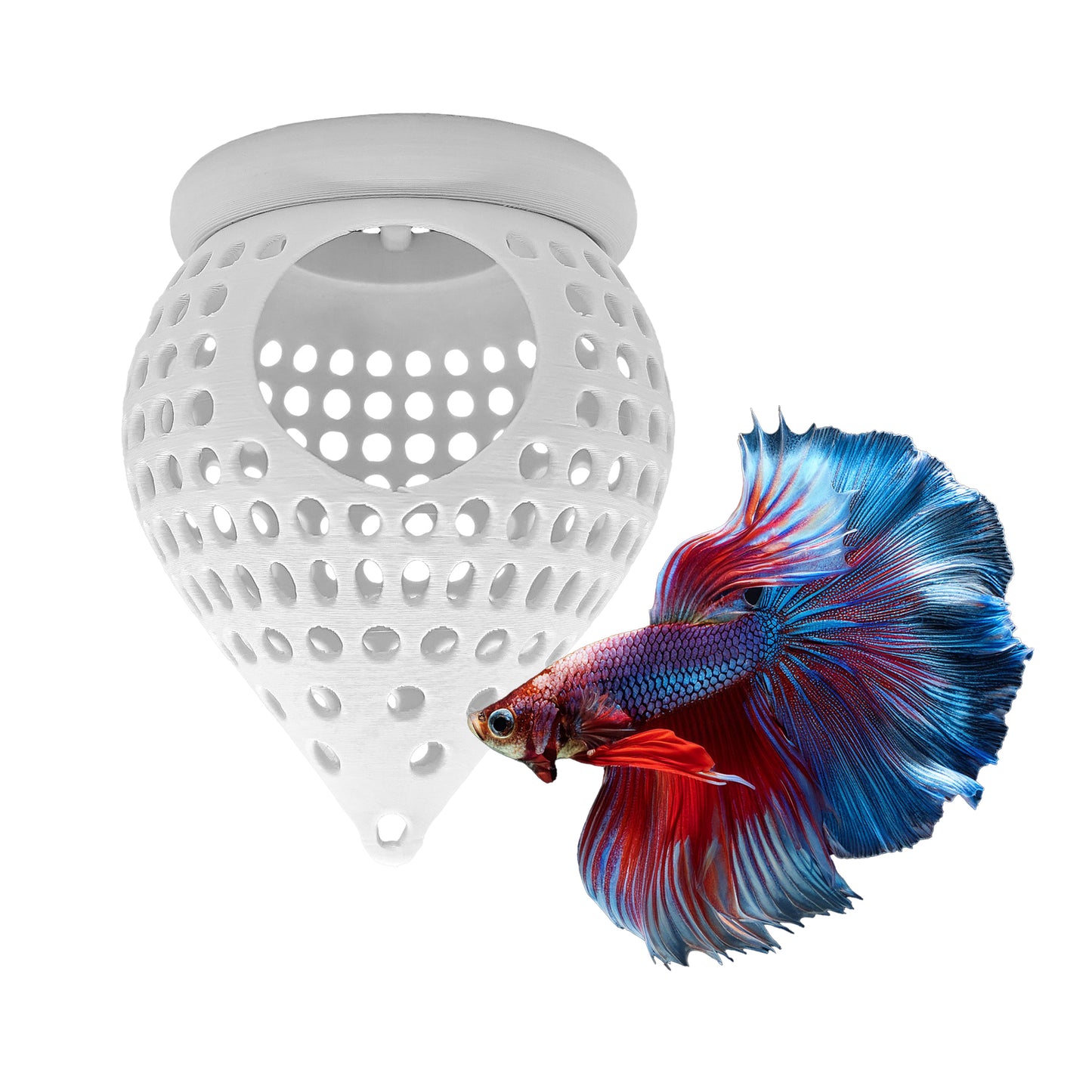 BettaPod Floating Aquarium Cave Log – Betta & Shrimp Hide | Natural Aquascape Decor (Fish Safe)