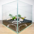 Corner Aquarium Cave Hide for Pleco, Shrimp & Betta | Natural Tank Decor