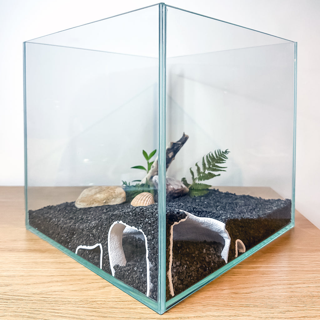 Corner Aquarium Cave Tunnel for Pleco & Shrimp – Large Entrance, Mangrove Style