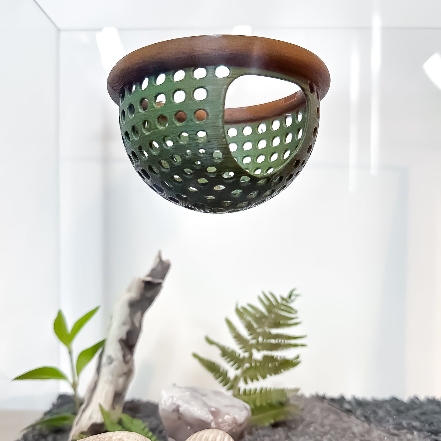 Floating Betta Aquarium Hide Log with Feeder Insert