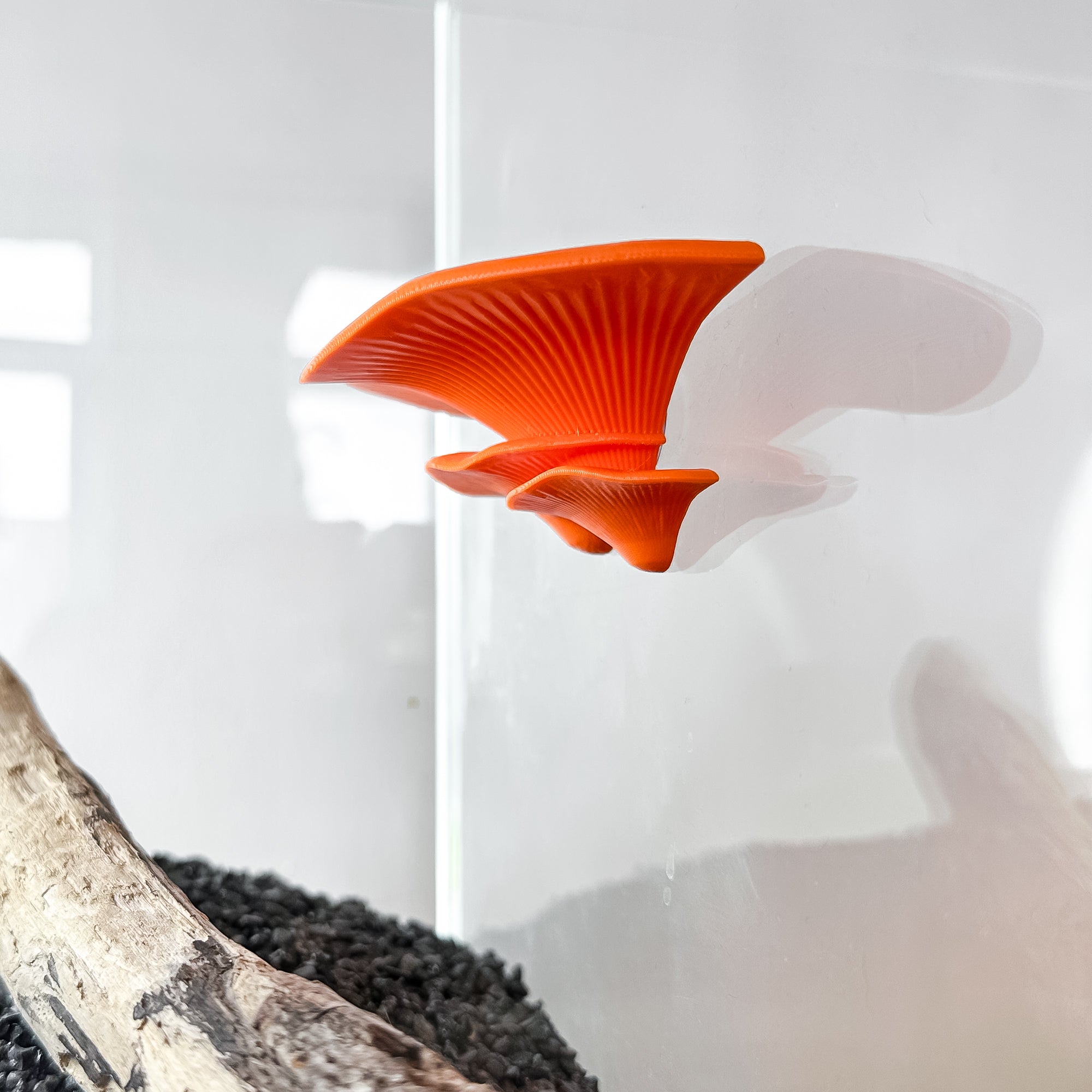 Floating mushroom ledge for bettas, shrimp, and reptiles. Attaches with suction cups. Perfect for aquascaping or amphibian rest spots.