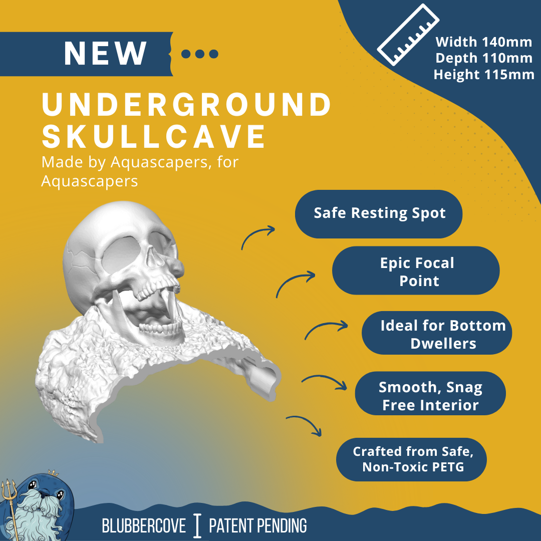 Skull Cave for Aquascaping – Safe Hideout for Betta, Shrimp & Corys