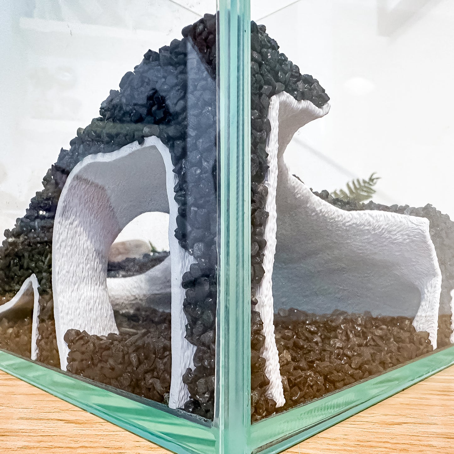 Corner Aquarium Cave Tunnel for Pleco & Shrimp – Large Entrance, Mangrove Style