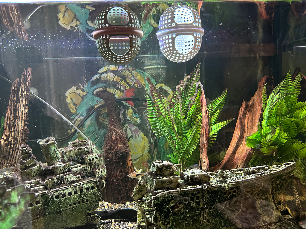 BettaPod Floating Betta Aquarium Hide Log with Feeder Insert