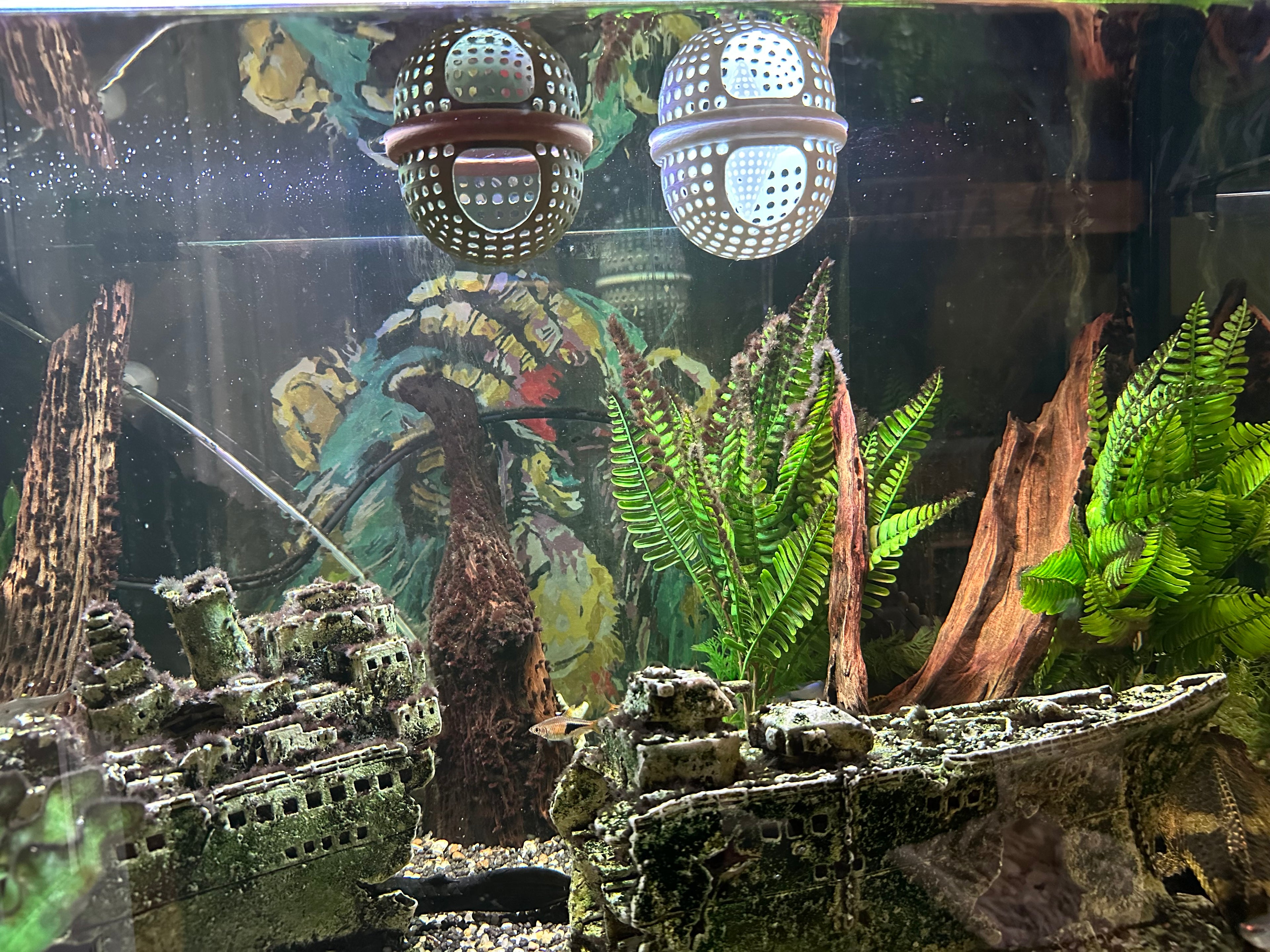 BettaPod Floating Betta Aquarium Hide Log with Feeder Insert