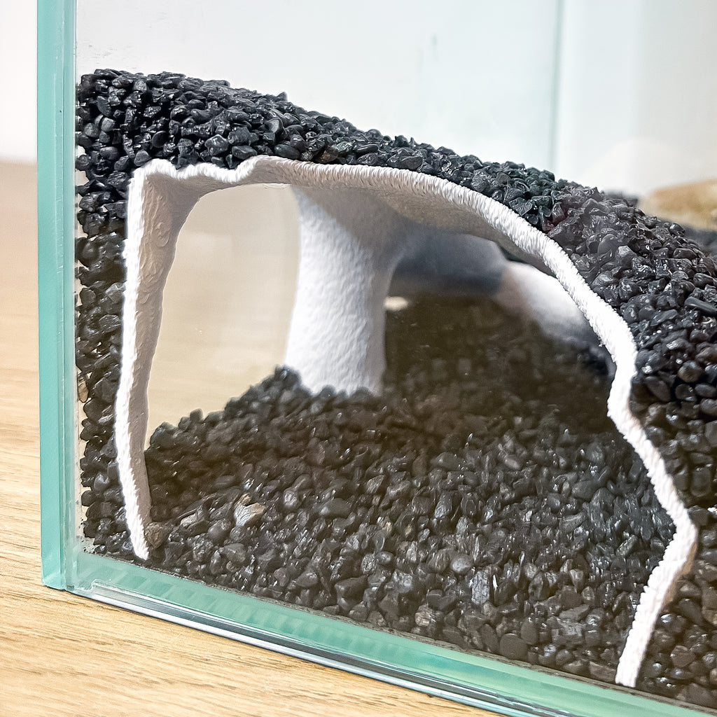 Corner Aquarium Cave Tunnel for Pleco & Shrimp – Large Entrance, Mangrove Style