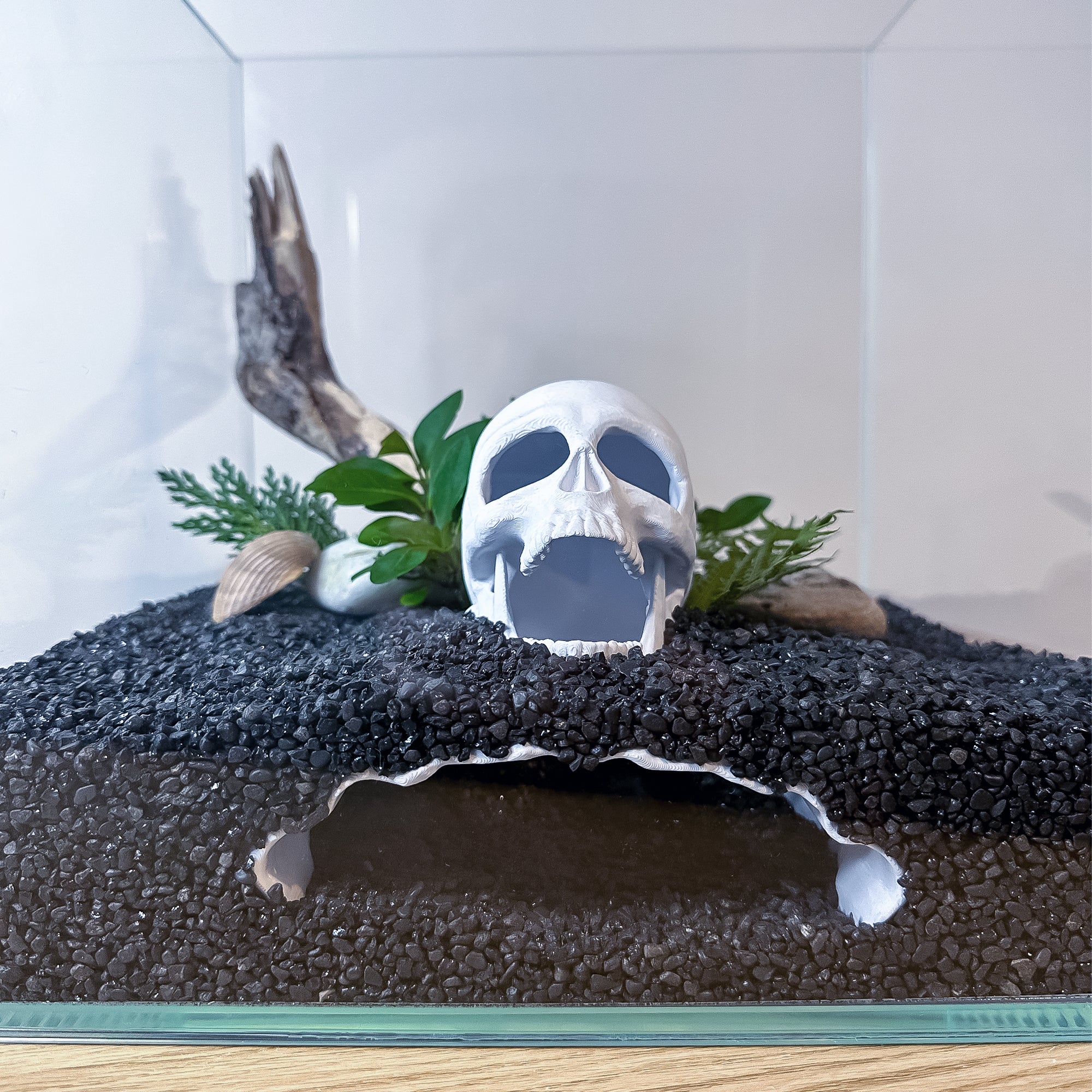 Skull Cave for Aquascaping – Safe Hideout for Betta, Shrimp & Corys