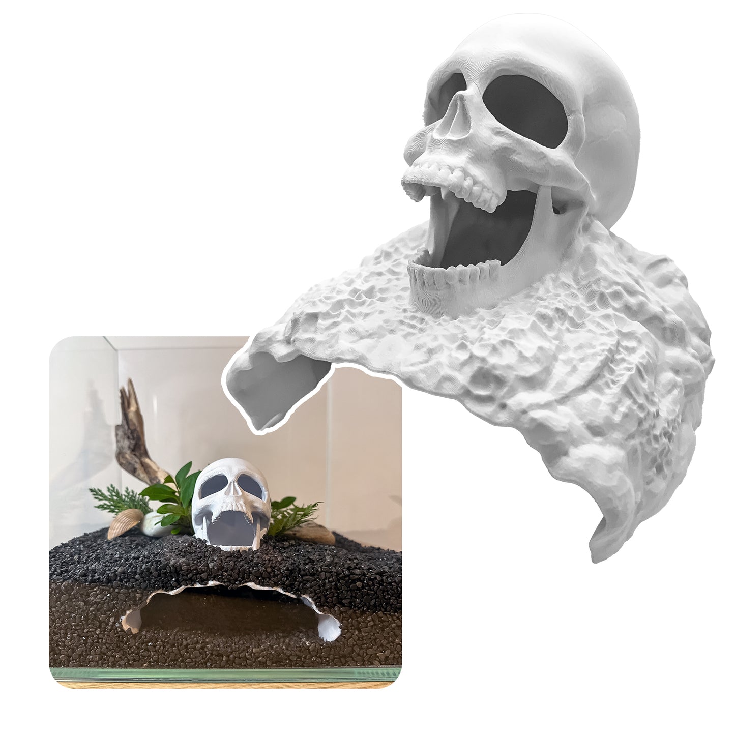 Skull Cave for Aquascaping – Safe Hideout for Betta, Shrimp & Corys