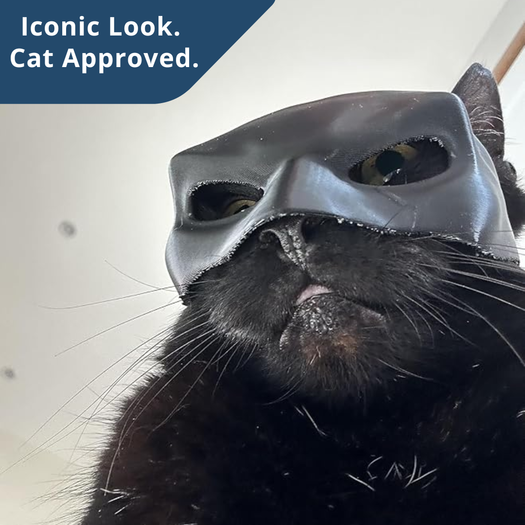 Bat Cat Cosplay Mask – Funny Cat Costume for TikTok, Halloween, Pet Cosplay, Hero Villain Dress Up