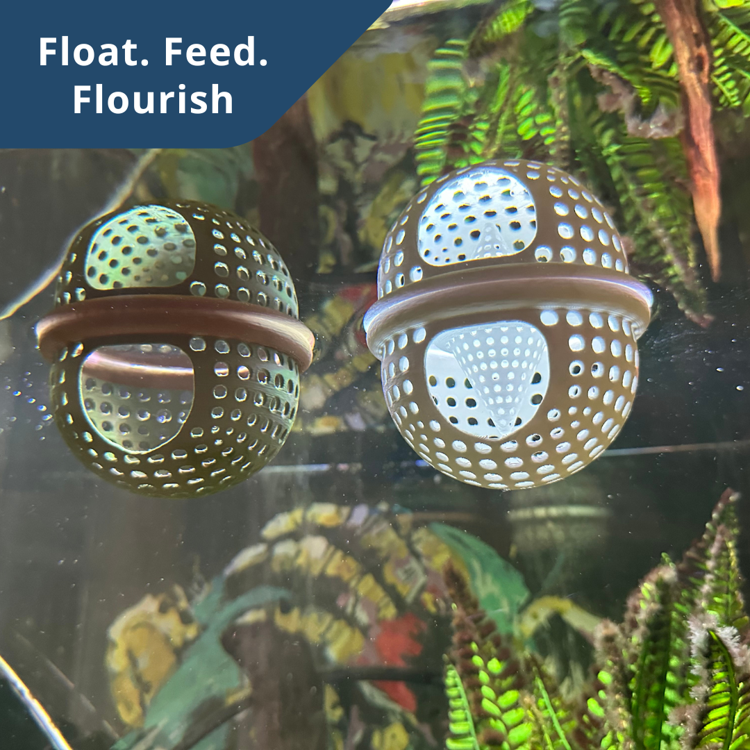 Floating Betta Aquarium Hide Log with Feeder Insert