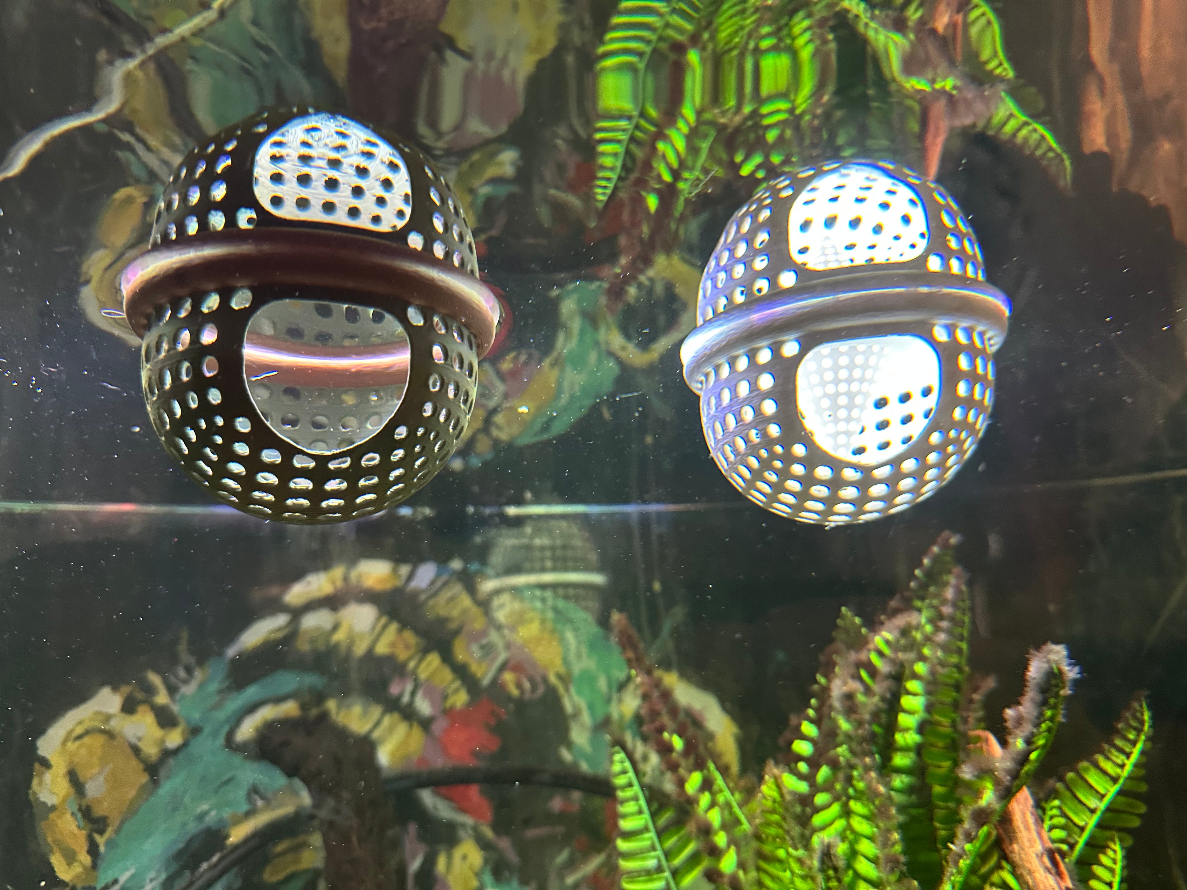 BettaPod Floating Betta Aquarium Hide Log with Feeder Insert