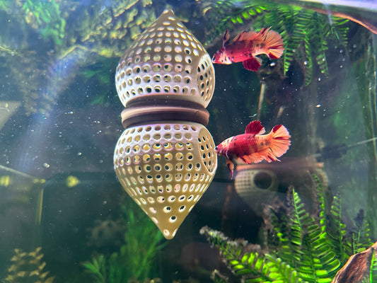 Floating Aquarium Hide Cave | Betta & Shrimp Tank Decor | Dual Shelter & Feeding Ring