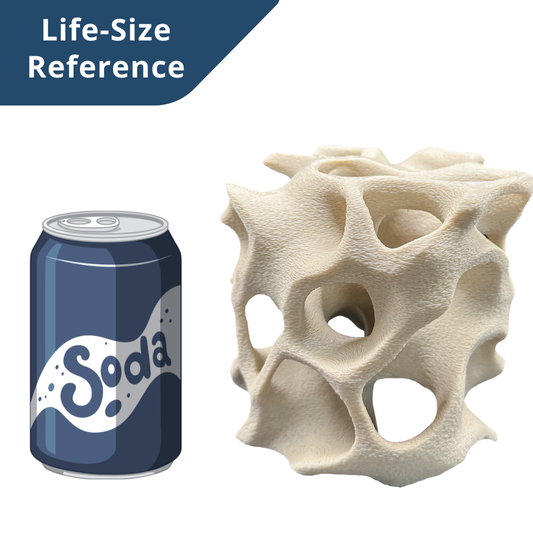 Aquarium Cave for Fish, Shrimp & Plecos – Coral-Style Shelter with 3 Hides for Corydoras, Guppies & Bottom Dwellers