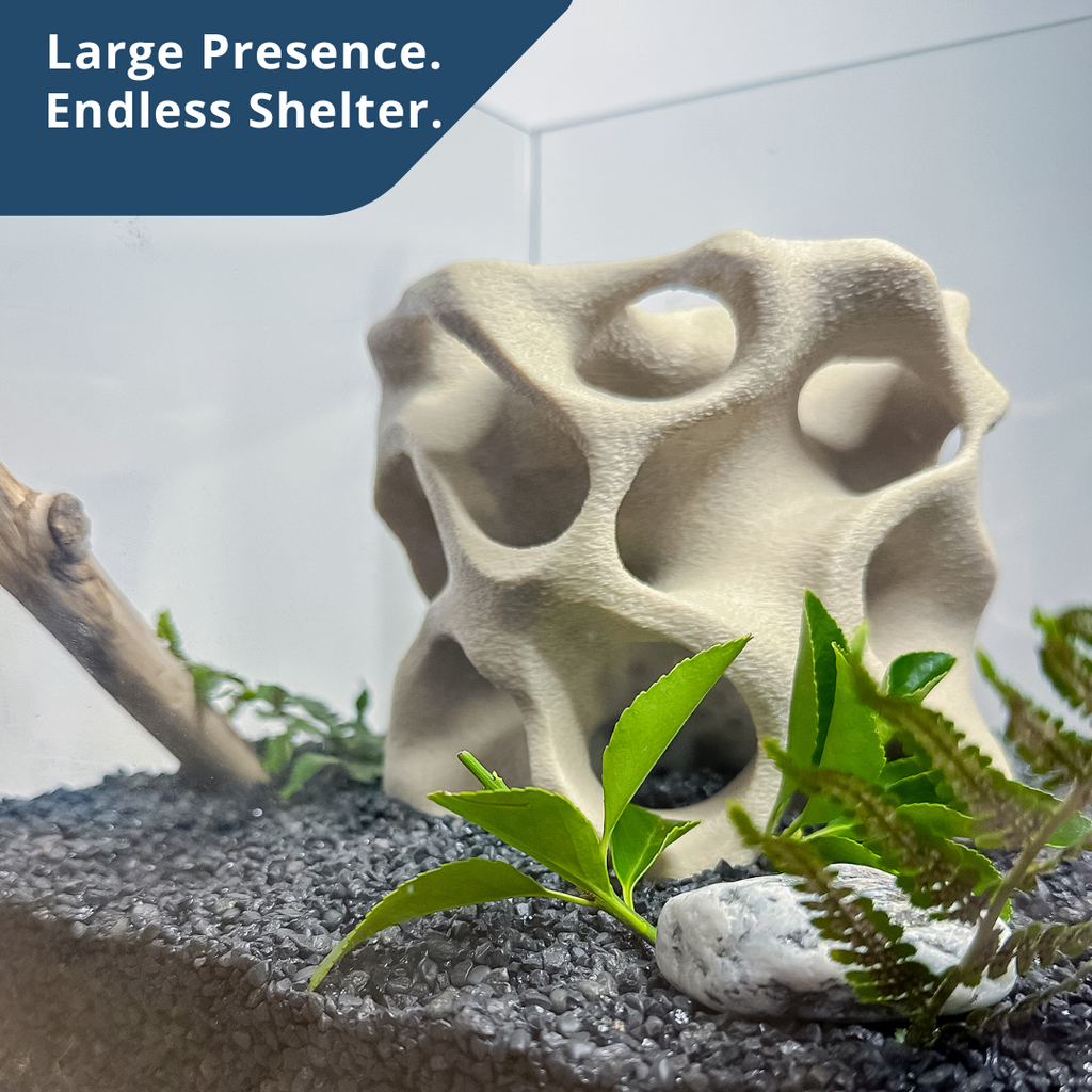 Aquarium Cave for Fish, Shrimp & Plecos – Coral-Style Shelter with 3 Hides for Corydoras, Guppies & Bottom Dwellers
