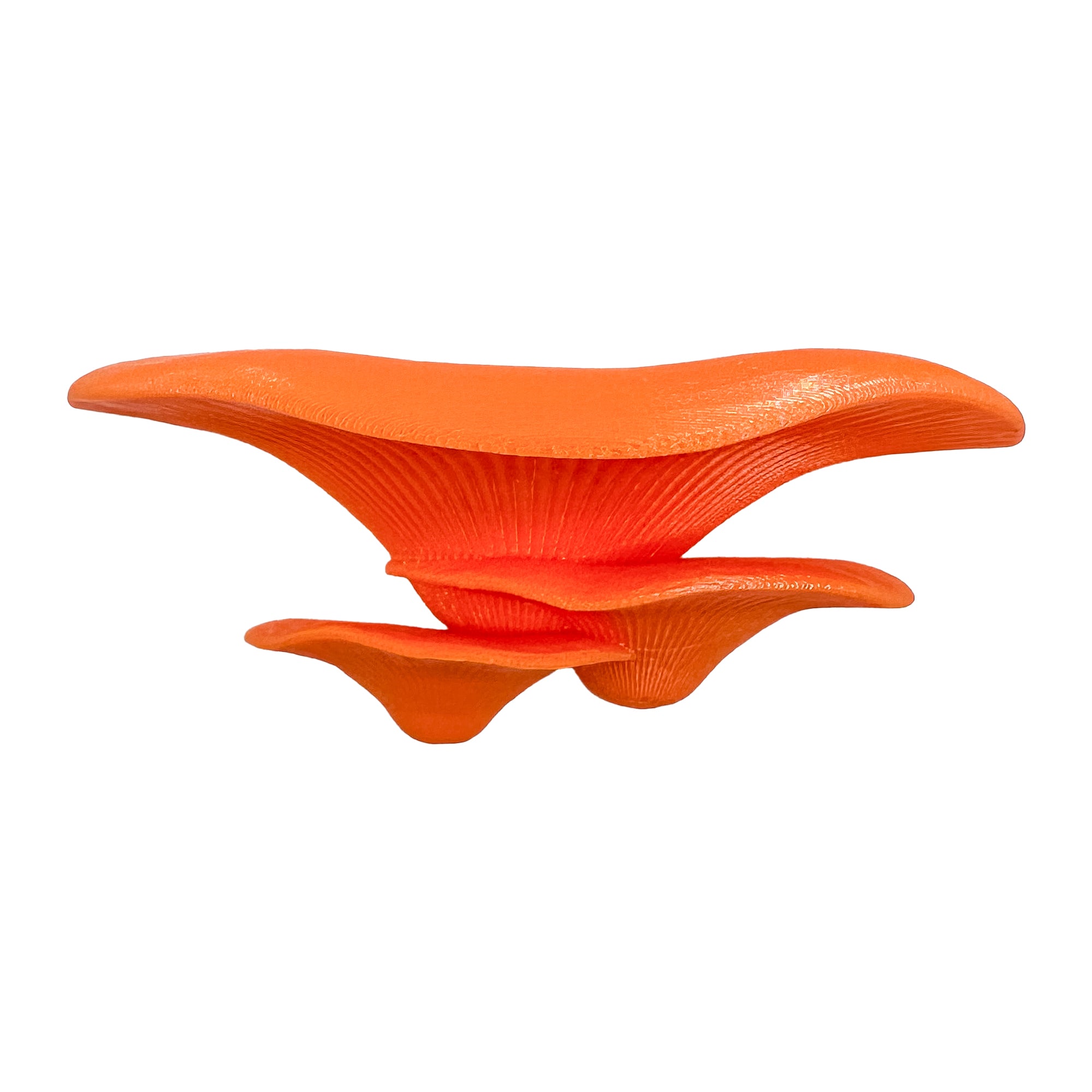 Floating mushroom ledge for bettas, shrimp, and reptiles. Attaches with suction cups. Perfect for aquascaping or amphibian rest spots.