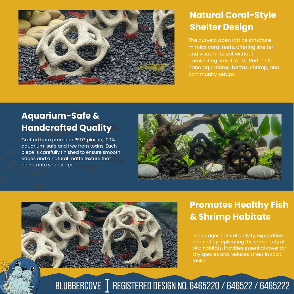 Aquarium Caves Set of 3 – Natural Aquascape Decor for Shrimp, Betta & Nano Fish