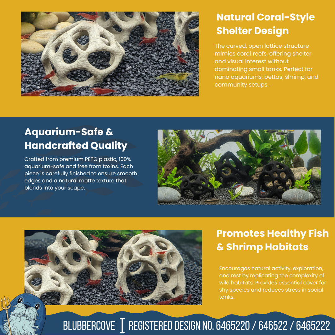 Aquarium Caves Set of 3 – Natural Aquascape Decor for Shrimp, Betta & Nano Fish