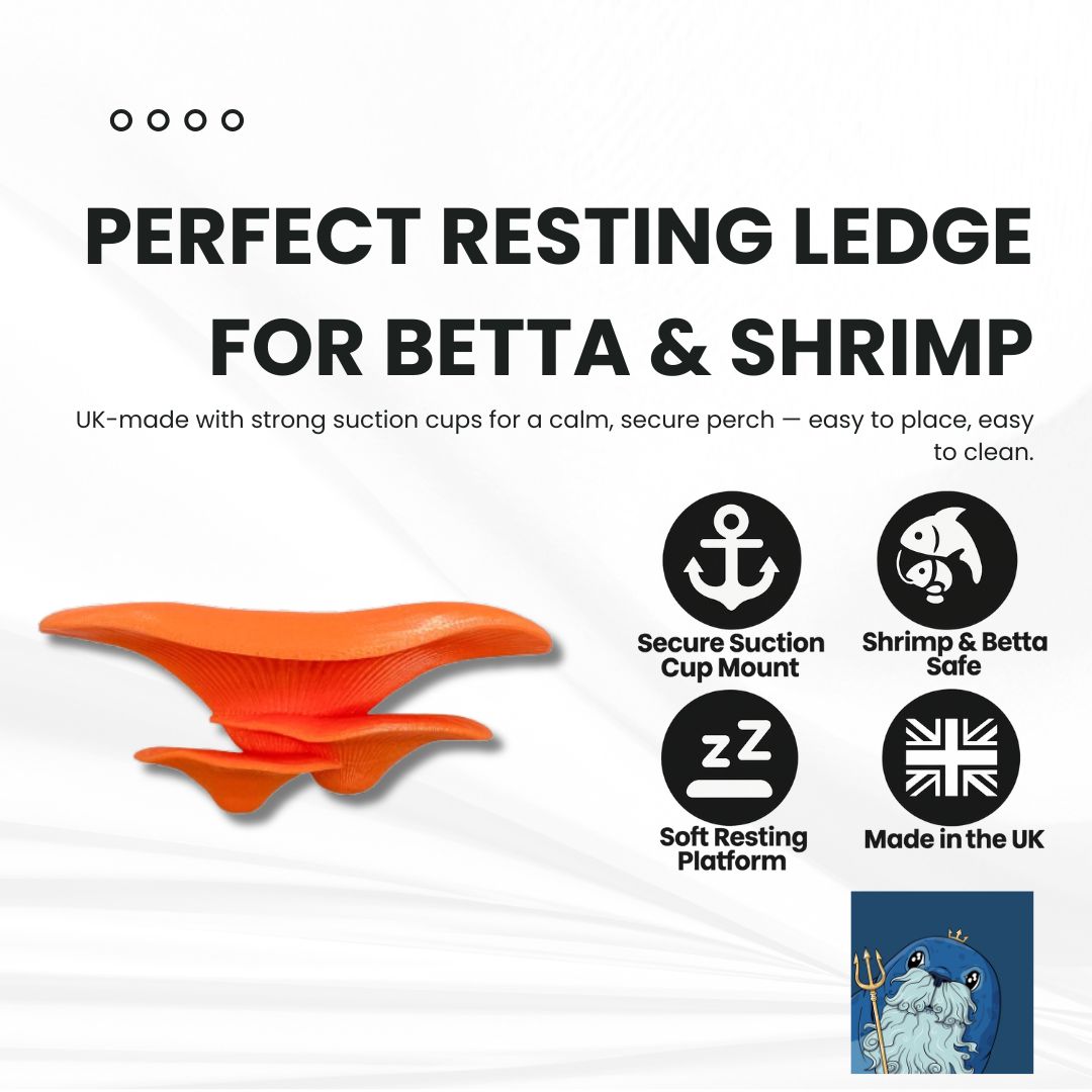 Floating mushroom ledge for bettas, shrimp, and reptiles. Attaches with suction cups. Perfect for aquascaping or amphibian rest spots.