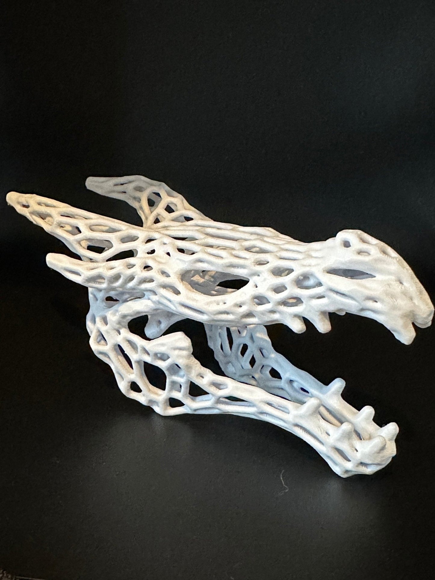 Aquarium or Reptile Tank Dragon Skull. Create a Unique Fish, Shrimp and Reptile Hide and Safe Spot - Blubber Cove