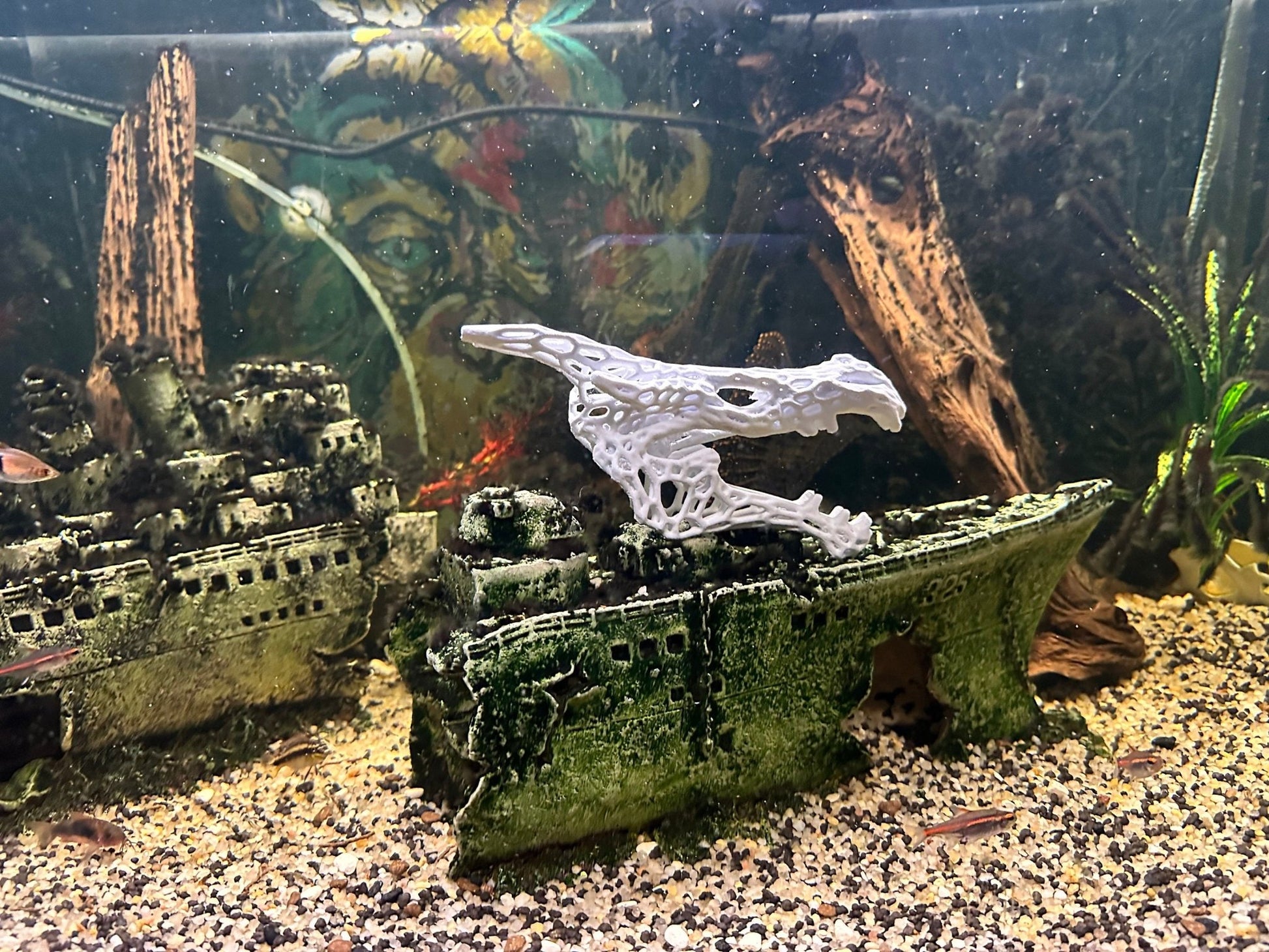 Aquarium or Reptile Tank Dragon Skull. Create a Unique Fish, Shrimp and Reptile Hide and Safe Spot - Blubber Cove