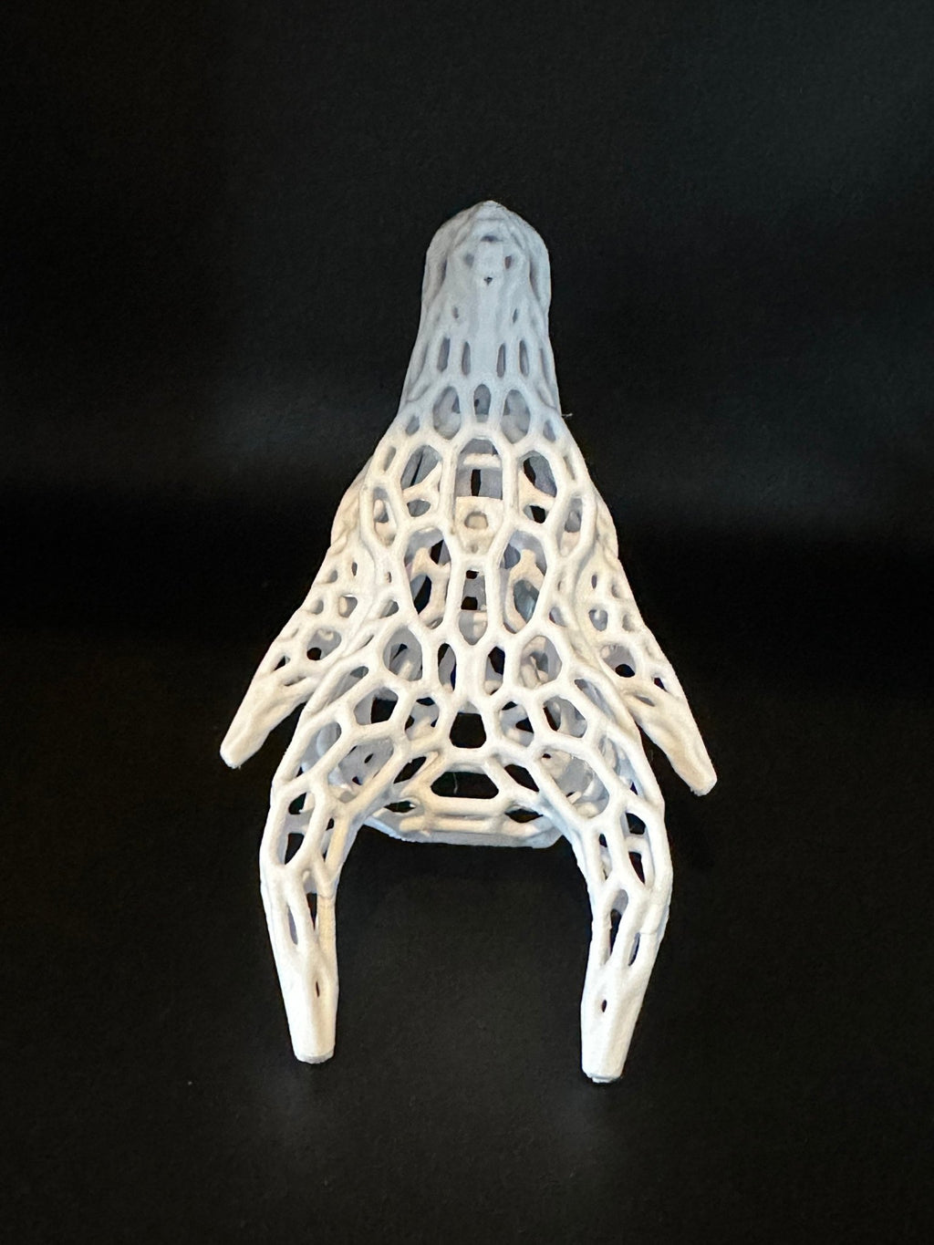 Aquarium or Reptile Tank Dragon Skull. Create a Unique Fish, Shrimp and Reptile Hide and Safe Spot - Blubber Cove