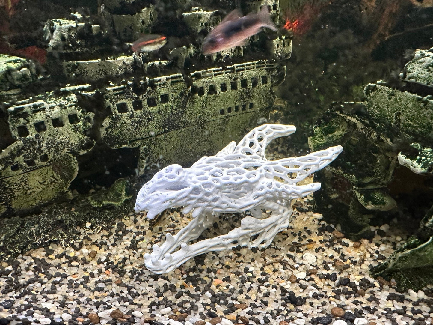 Aquarium or Reptile Tank Dragon Skull. Create a Unique Fish, Shrimp and Reptile Hide and Safe Spot - Blubber Cove