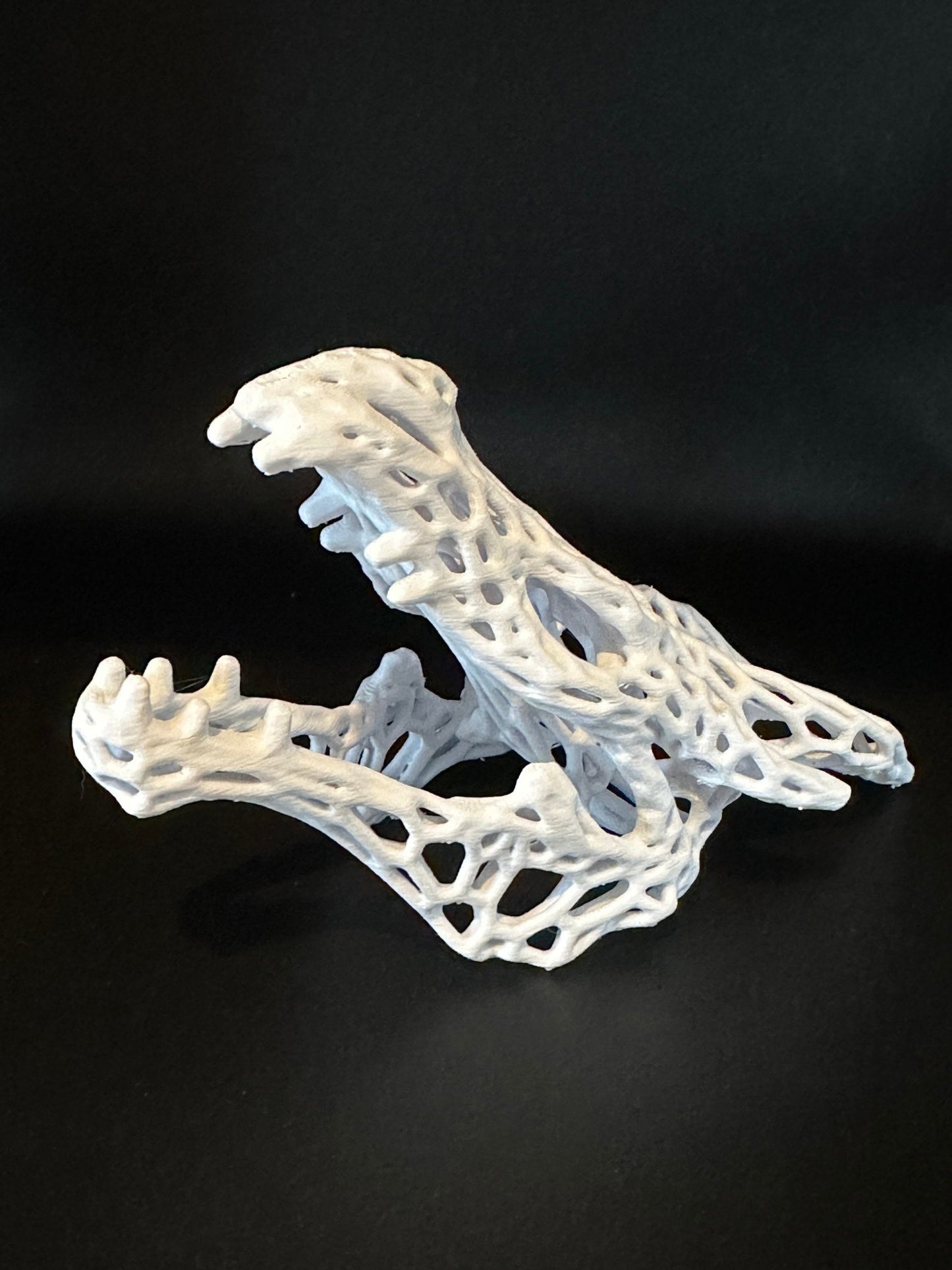 Aquarium or Reptile Tank Dragon Skull. Create a Unique Fish, Shrimp and Reptile Hide and Safe Spot - Blubber Cove