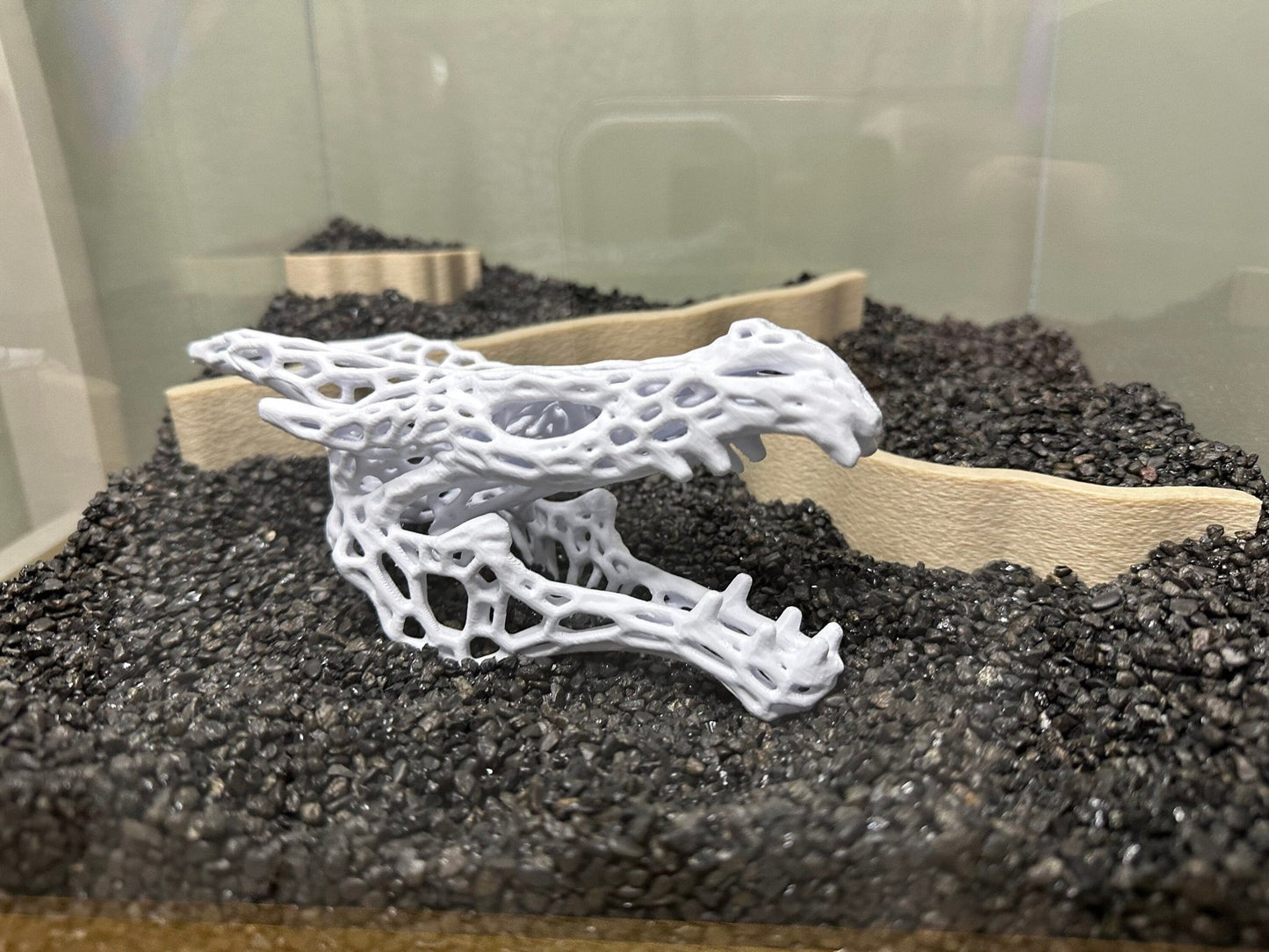 Aquarium or Reptile Tank Dragon Skull. Create a Unique Fish, Shrimp and Reptile Hide and Safe Spot - Blubber Cove