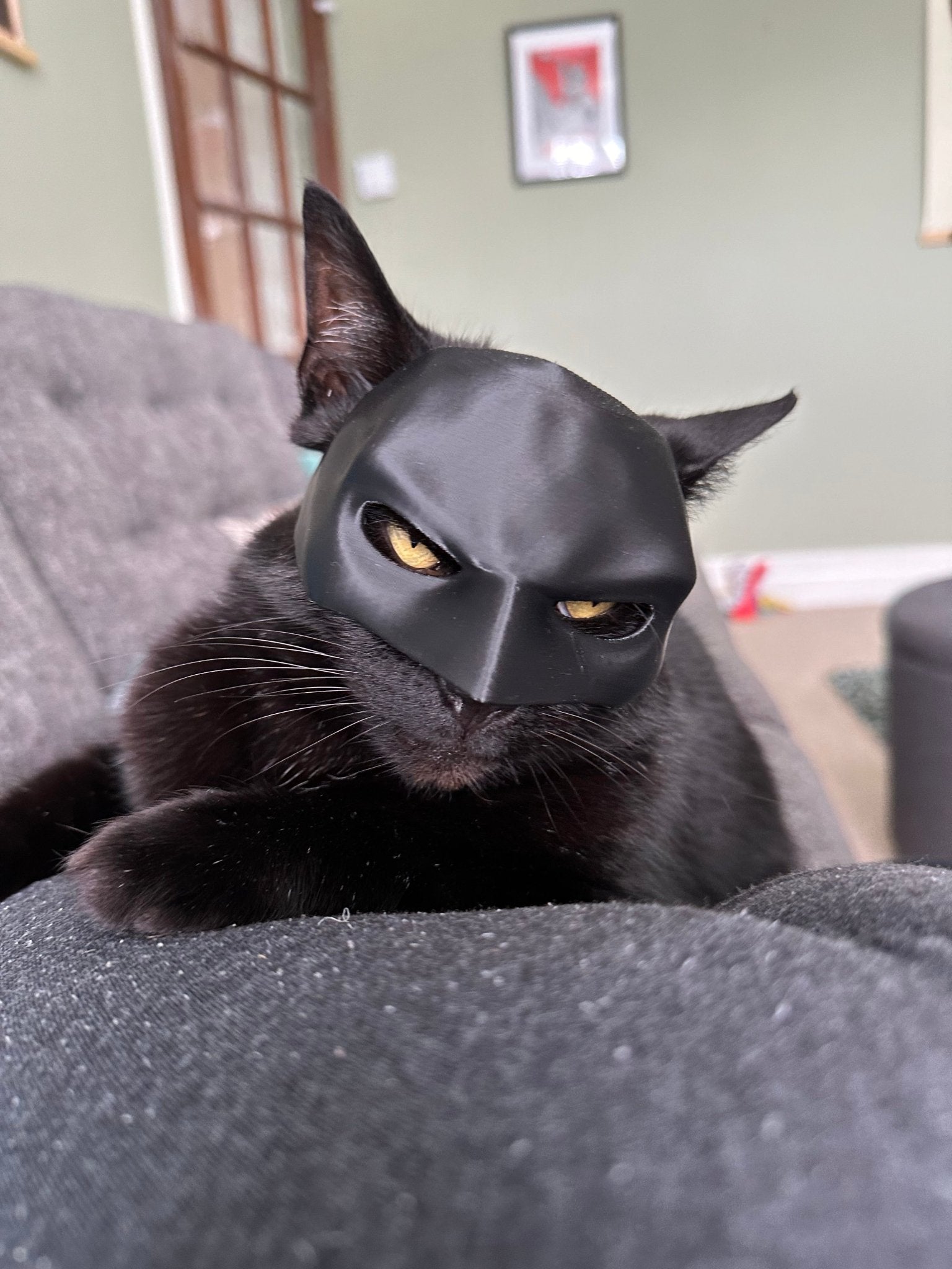 Batman Cat Mask Costume - Become the Dark Cat! A Funny Outfit Accessory, Makes a Great Gift for any pet Enthusiast! - Blubber Cove