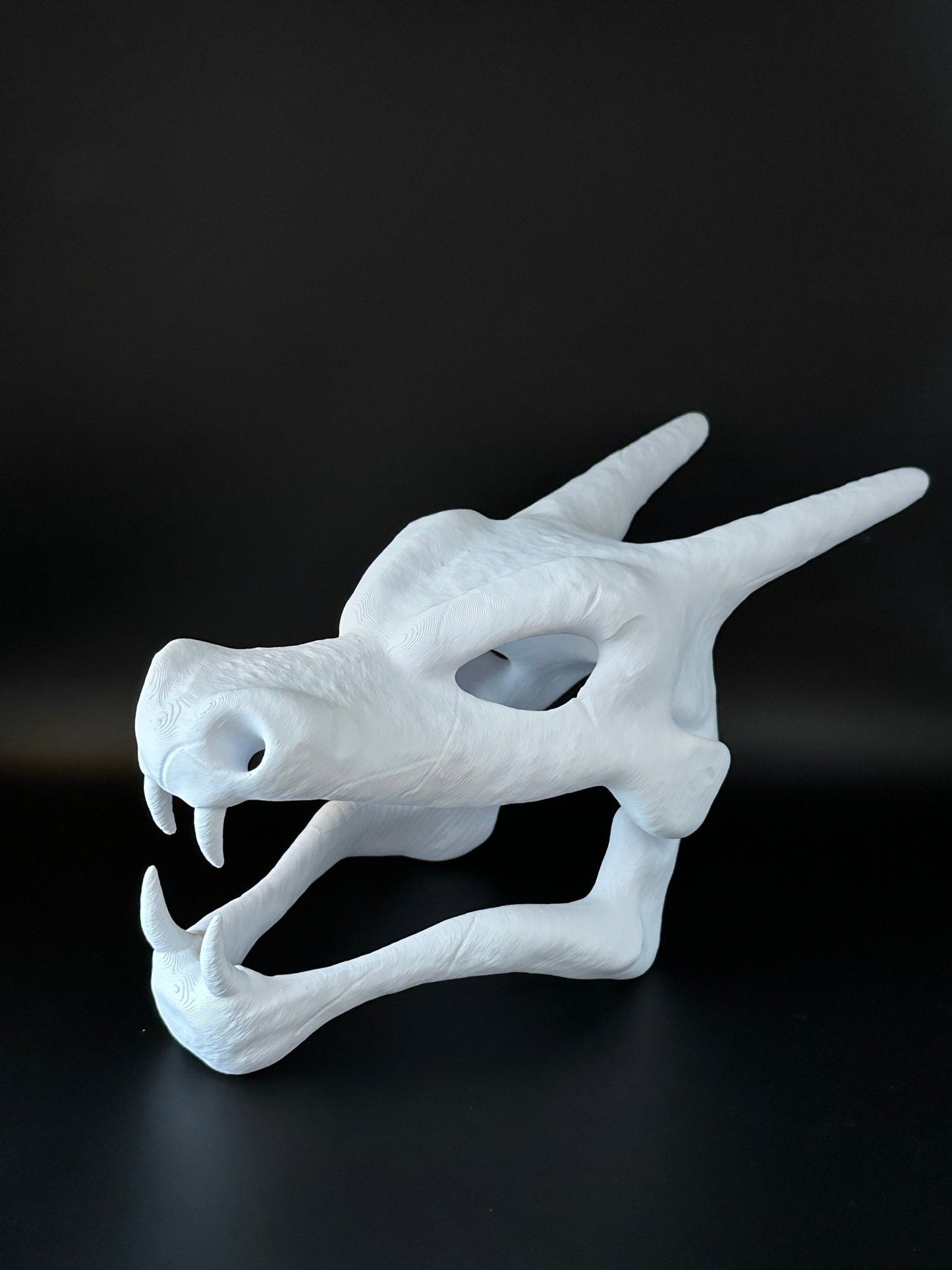 Charizard Skull for Reptile and Aquarium Tanks - Blubber Cove