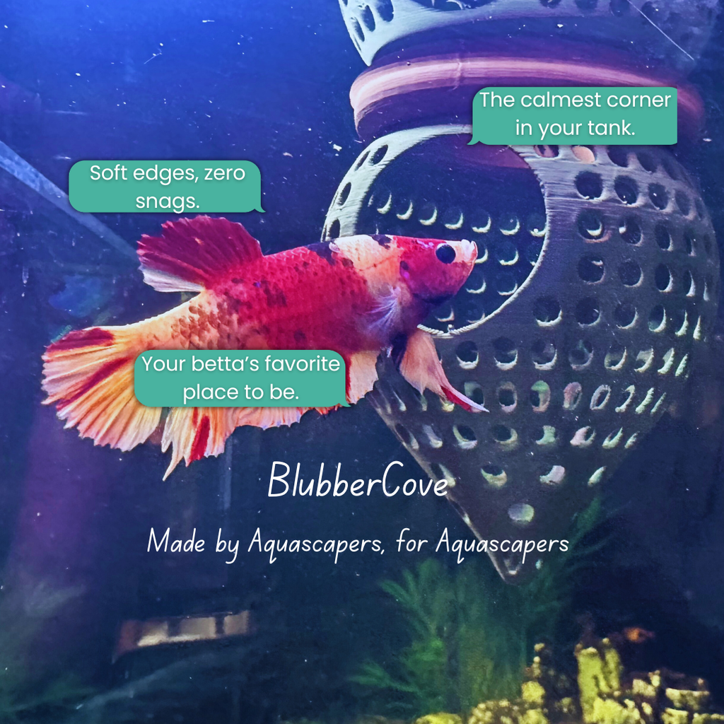 BettaPod Floating Aquarium Cave Log – Betta & Shrimp Hide | Natural Aquascape Decor (Fish Safe)