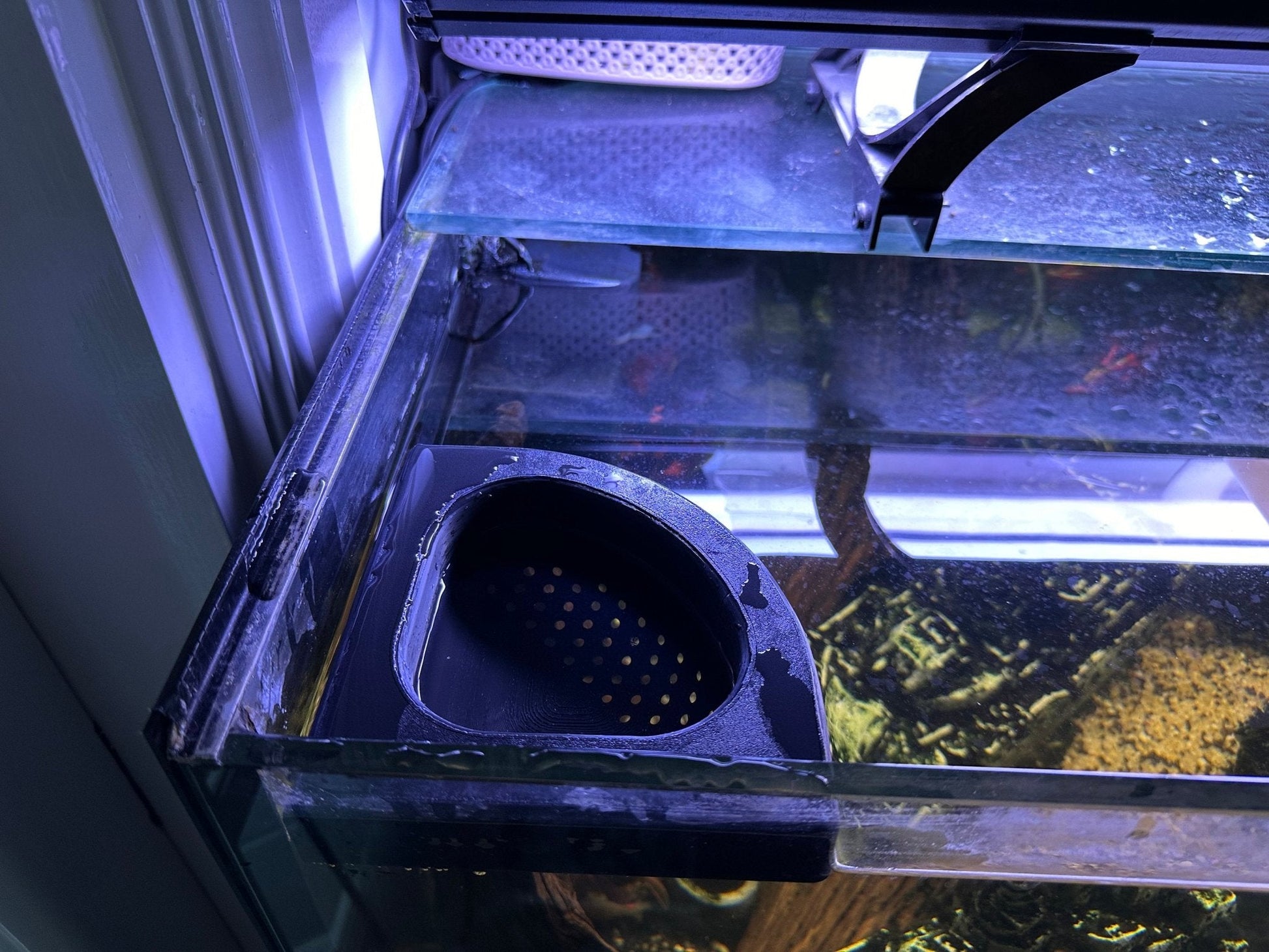 Floating Water Diffuser to Slow Aquarium Flow Rate for Water Changes - Blubber Cove