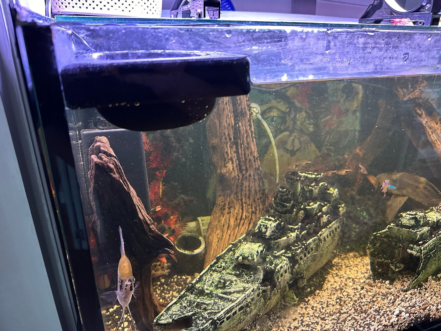 Floating Water Diffuser to Slow Aquarium Flow Rate for Water Changes - Blubber Cove