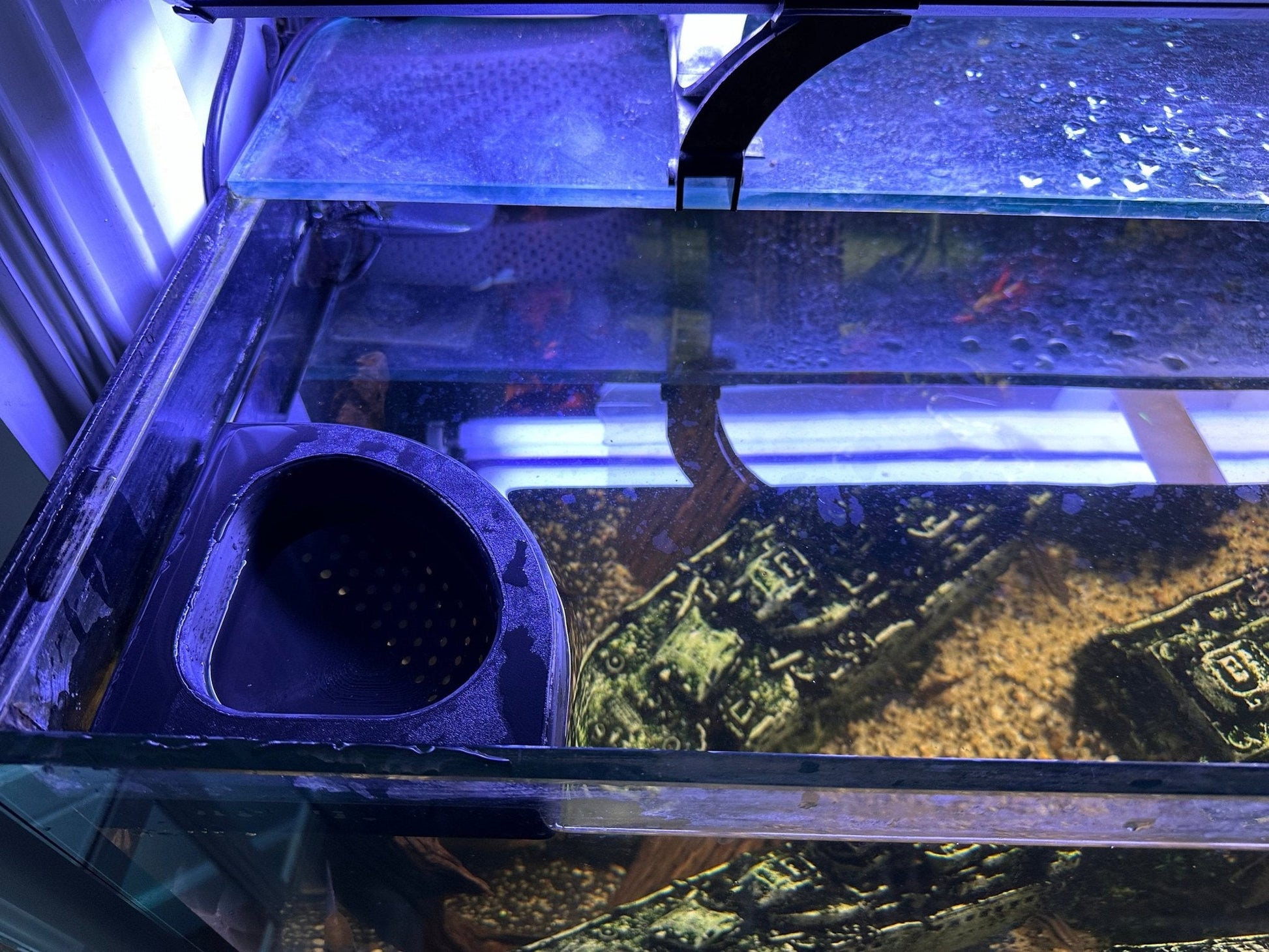 Floating Water Diffuser to Slow Aquarium Flow Rate for Water Changes - Blubber Cove