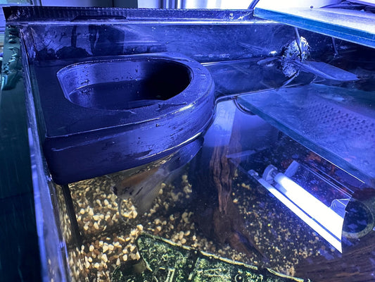 Floating Water Diffuser to Slow Aquarium Flow Rate for Water Changes - Blubber Cove