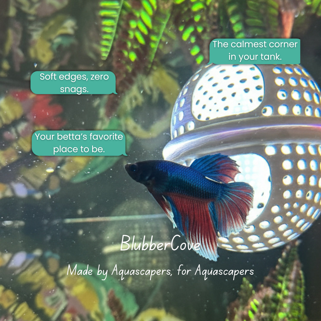 Floating Betta Aquarium Hide Log with Feeder Insert