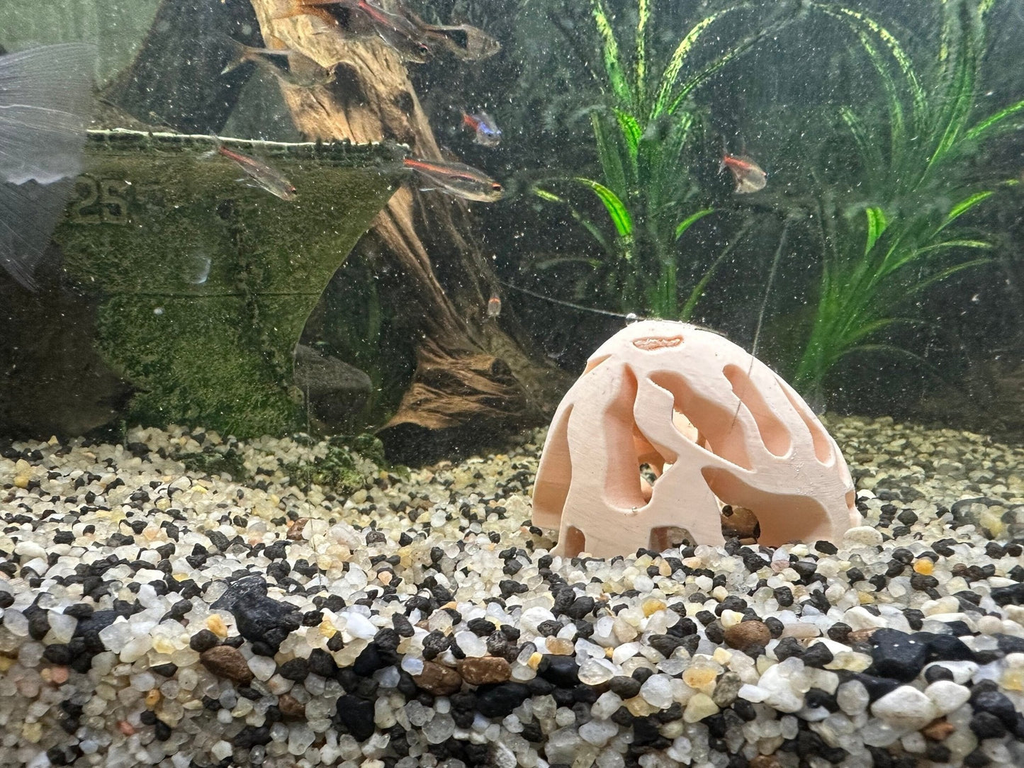 Large Shrimp Hide and Cave Suitable for Aquariums Aquarium - Blubber Cove