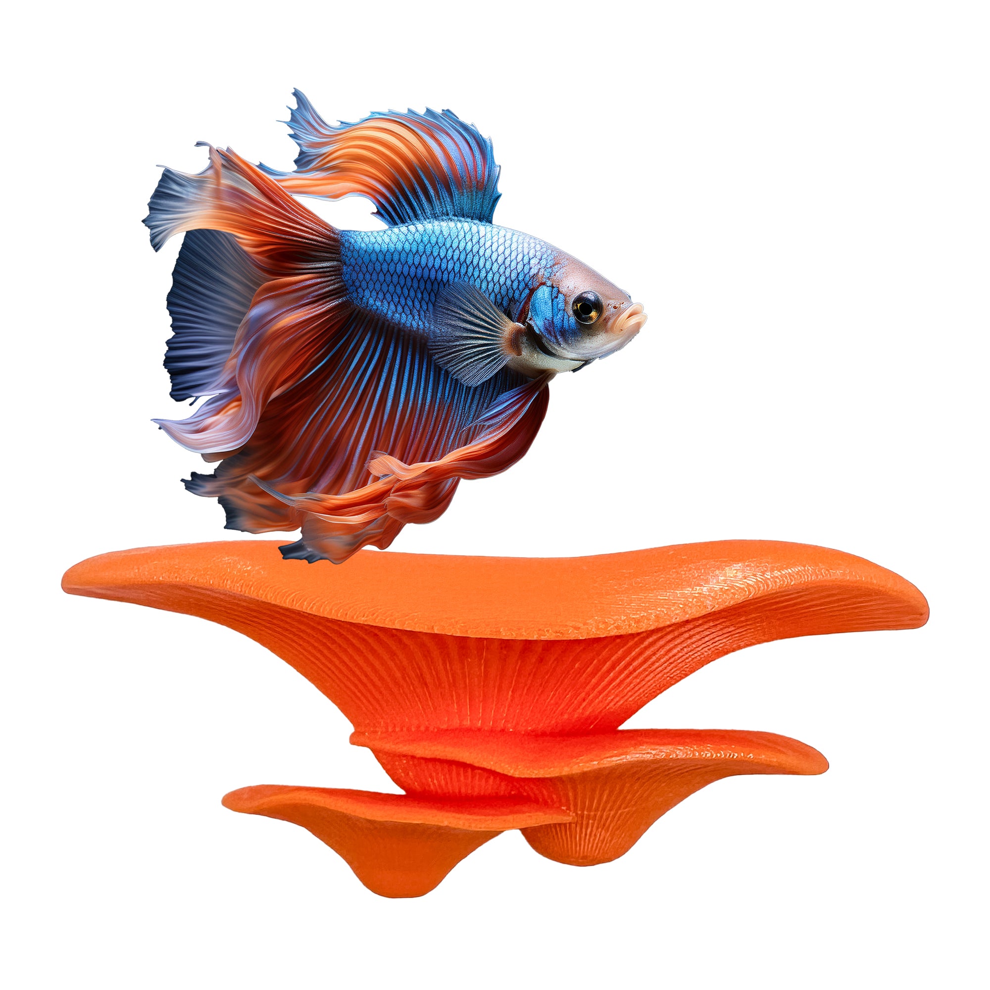 Floating mushroom ledge for bettas, shrimp, and reptiles. Attaches with suction cups. Perfect for aquascaping or amphibian rest spots.