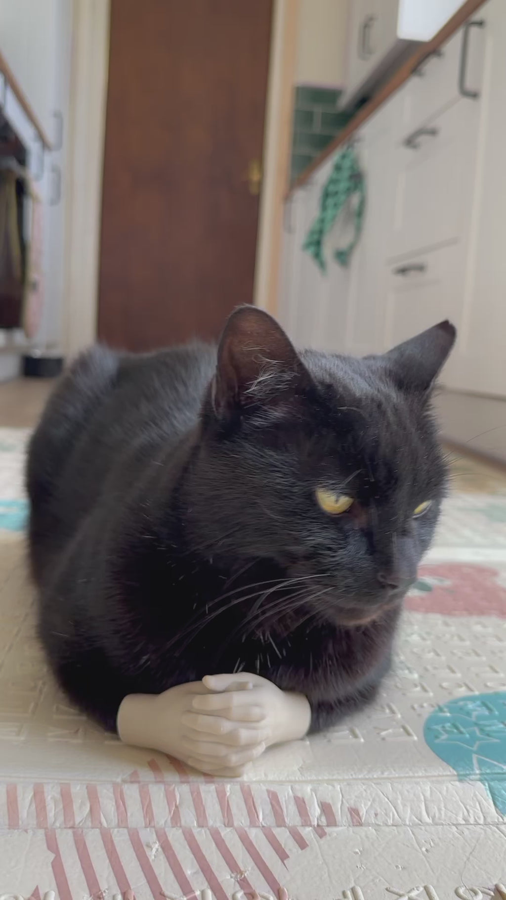 Cat Hands - A Funny Costume and Outfit Accessories Addition. Makes a Great Gift for any pet Enthusiast!