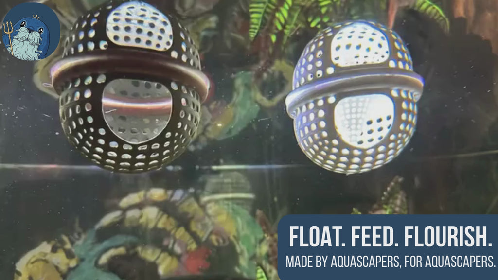 BettaPod Floating Betta Aquarium Hide Log with Feeder Insert